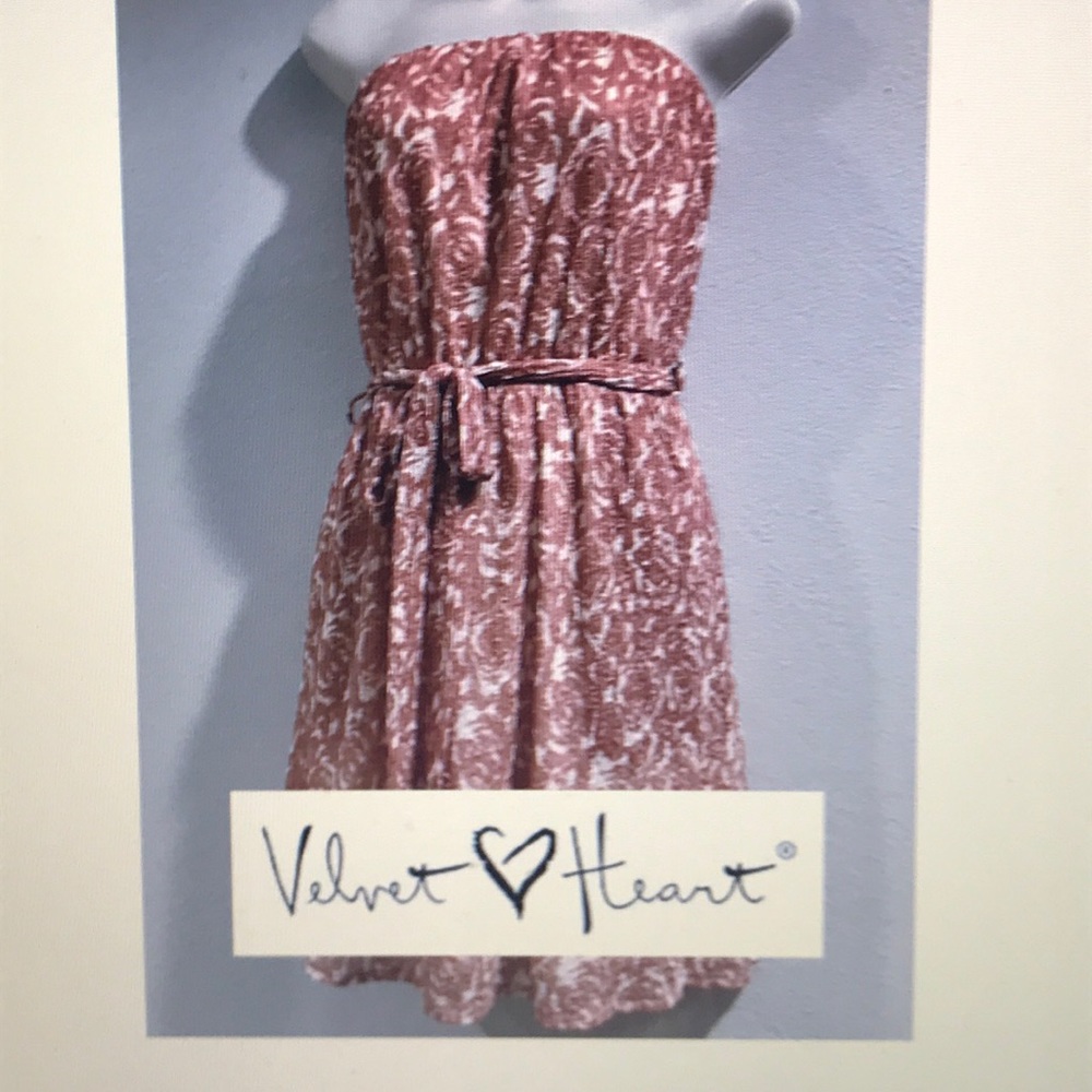 Velvet Heart Mini Dress With Sexy Cutout In Back S